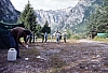 1977 035 Claut.jpg