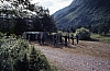 1977 037 Claut.jpg