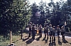 1977 039 Claut.jpg
