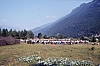 1977 045 Claut.jpg