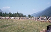 1977 048 Claut.jpg