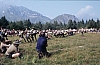 1977 050 Claut.jpg