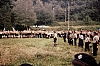 1978gf campo mobile internaz FSE - Lourdes - alzabandiera del contingente italiano-6.jpg