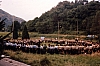 1978p campo mobile internaz FSE - Lourdes - cerchio di saluto del contingente italiano-9.jpg