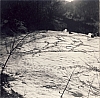 1978 Clan nuova strada sPioX - uscita di noviziato - Alpago_5.jpg