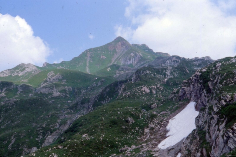 1979 078 Collina.jpg