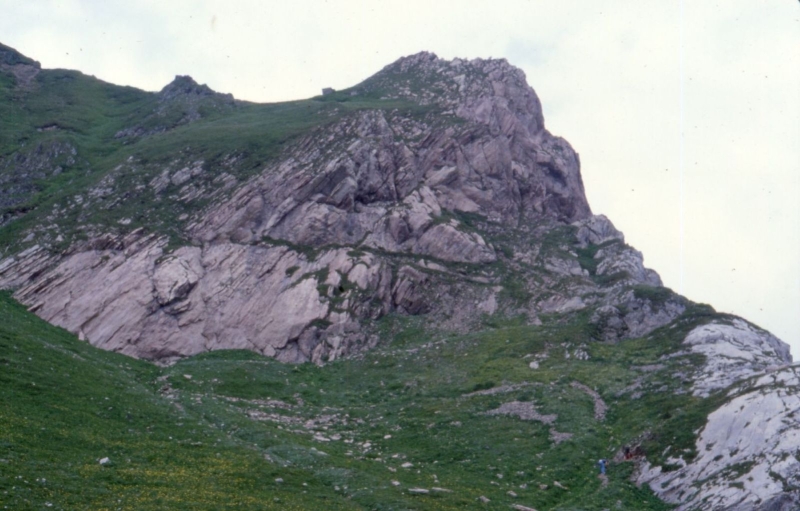 1979 081 Collina.jpg