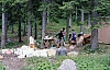1979 007 Collina.jpg