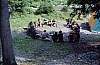 1979 011 Collina.jpg