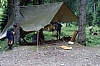 1979 014 Collina.jpg