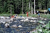 1979 020 Collina.jpg
