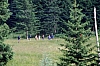 1979 032 Collina.jpg