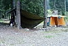 1979 033 Collina.jpg