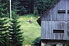 1979 034 Collina.jpg
