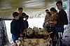 1979 036 Collina.jpg