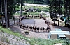1979 037 Collina.jpg