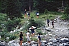 1979 045 Collina.jpg