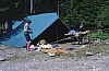 1979 046 Collina.jpg