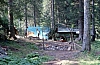 1979 058 Collina.jpg