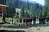 1979 059 Collina.jpg
