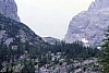 1979 060 Collina.jpg