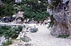 1979 061 Collina.jpg