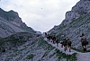 1979 080 Collina.jpg