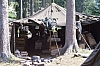 1979 082 Collina.jpg