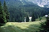 1979 085 Collina.jpg