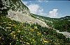 1979d Clan Nuova Strada - sPioX - campo mobile vette feltrine 12 - in marcia verso passo Piètena.jpg