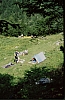 1979g Clan Nuova Strada - sPioX - campo mobile vette feltrine 13 - accampati in val di sMartino .jpg