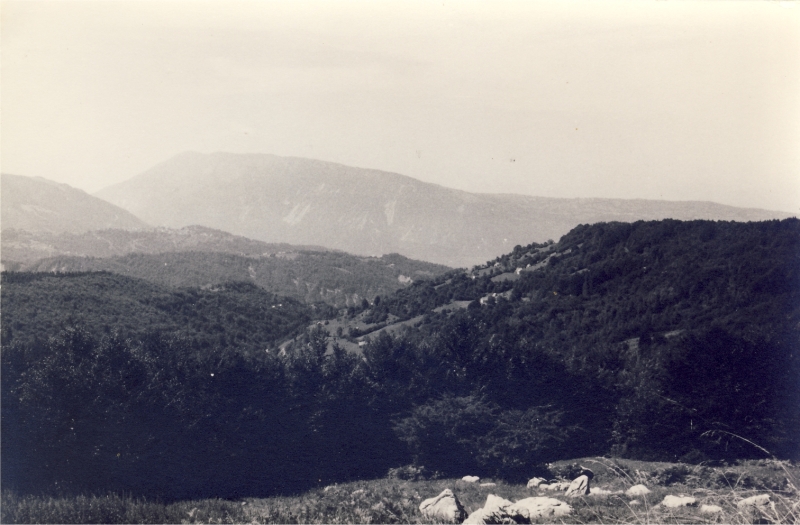1979e rip spioX - campo delle fresche sorgenti - Borsoi d'Alpago - panorama_8.jpg