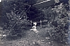 1979b rip spioX - campo delle fresche sorgenti - Borsoi d'Alpago 02 - angolo di sq.jpg