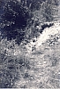 1979d rip spioX - campo delle fresche sorgenti - Borsoi d'Alpago 07 - esplorazione.jpg