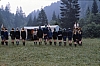 1980 009 Pontebba.jpg
