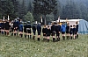 1980 010 Pontebba.jpg