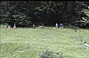 1980 042 Pontebba.jpg