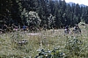 1980 045 Pontebba.jpg