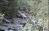 1980 051 Pontebba.jpg