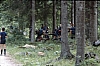 1980 055 Pontebba.jpg