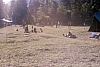1980 075 Pontebba.jpg