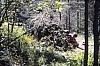 1980 076 Pontebba.jpg
