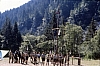 1980 078 Pontebba.jpg
