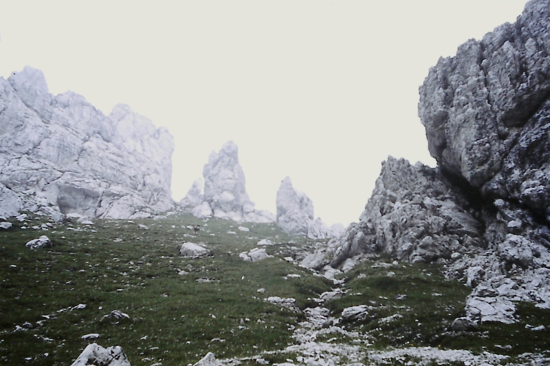 1980 Clan nuova strada - sPioX - campo mobile auronzo-forni di sopra_035.jpg