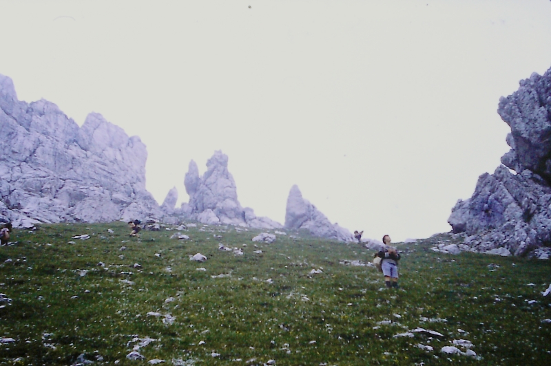 1980 Clan nuova strada - sPioX - campo mobile auronzo-forni di sopra_036.jpg