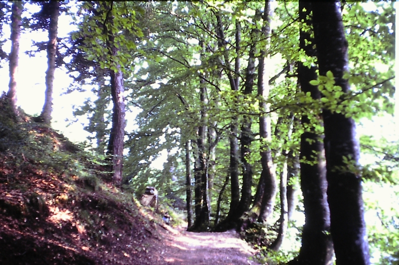1980 Clan nuova strada - sPioX - campo mobile auronzo-forni di sopra_061.jpg