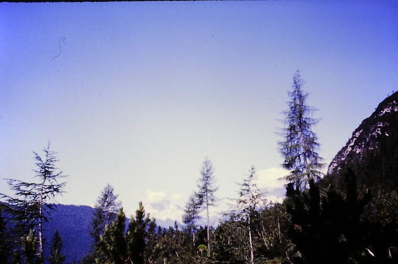 1980 Clan nuova strada - sPioX - campo mobile auronzo-forni di sopra_115.jpg