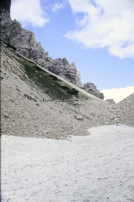 1980 Clan nuova strada - sPioX - campo mobile auronzo-forni di sopra_142.jpg