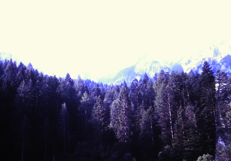1980 Clan nuova strada - sPioX - campo mobile auronzo-forni di sopra_158.jpg