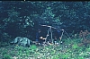 1980 Clan nuova strada - sPioX - campo mobile auronzo-forni di sopra_005.jpg